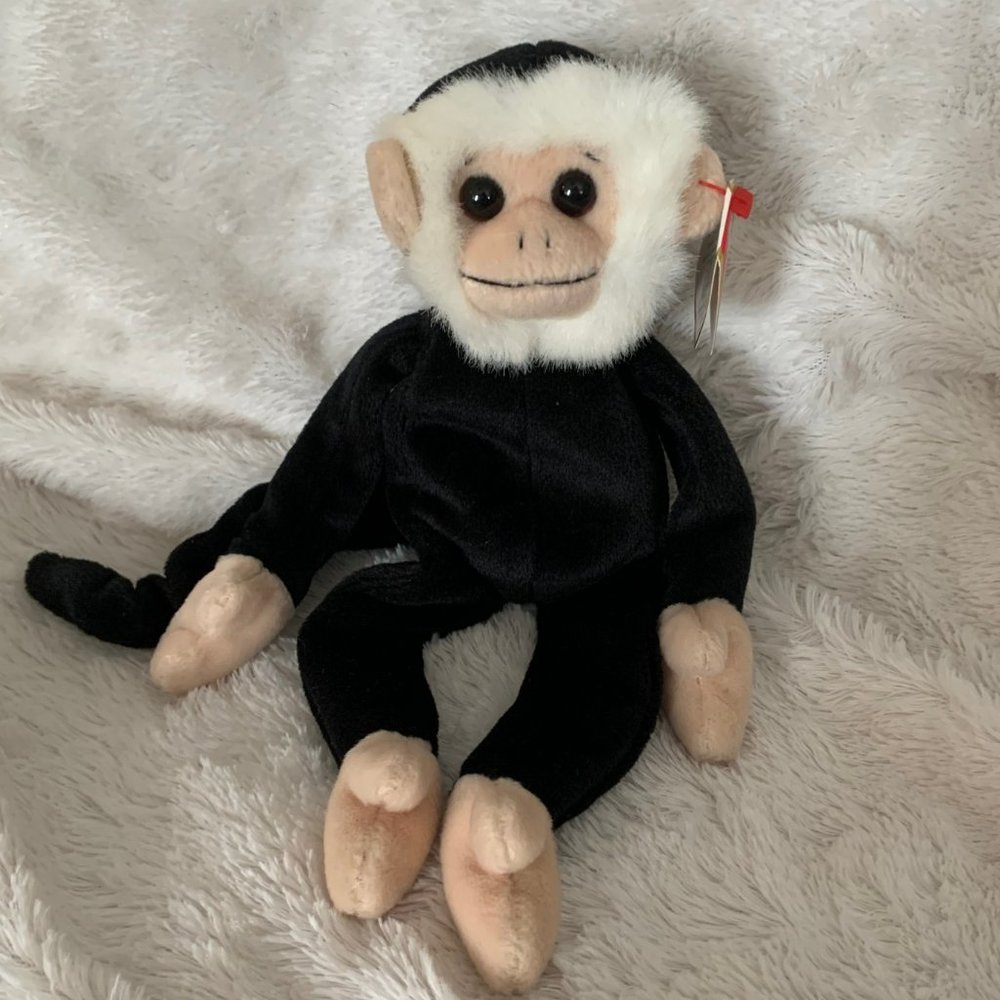 Beanie Baby - Mooch - TAG ERRORS - PERFECT CONDITION - RARE